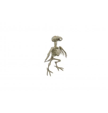 Squelette en forme de corbeau phosphorescent de 21 cm