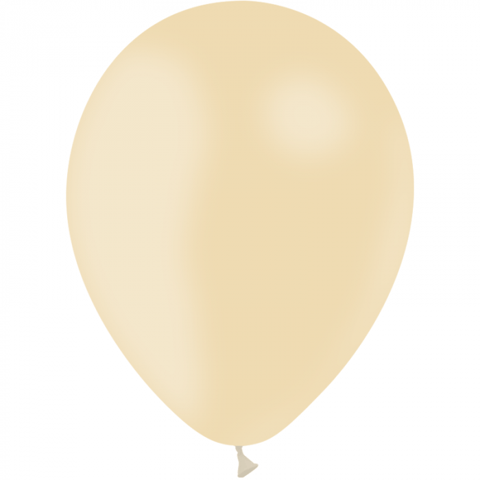 2513 Ballons de baudruche standard 28 cm 1