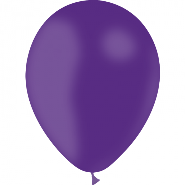 2521 Ballons de baudruche standard 28 cm