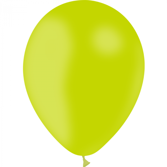 2525 Ballons de baudruche standard 28 cm