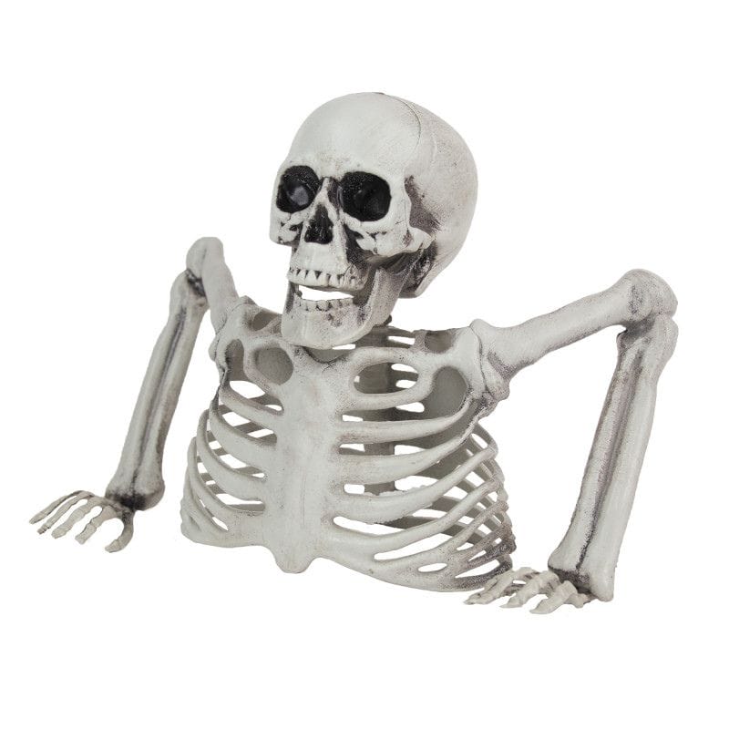 Squelette Mort-Vivant